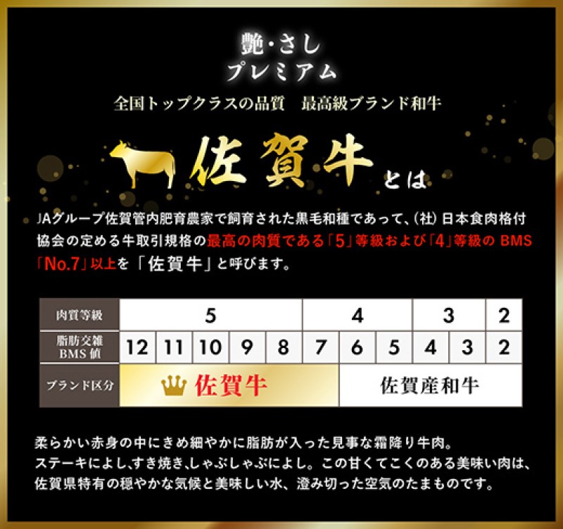 定期便 12ヶ月 佐賀牛 プレミアムコース 年 12回 牛肉 肉 お肉 お楽しみ ※配送不可：北海道、沖縄、離島