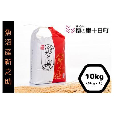 ふるさと納税 十日町市 令和7年産【10月発送開始】魚沼産【新之助】精米10kg(5kg×2袋)