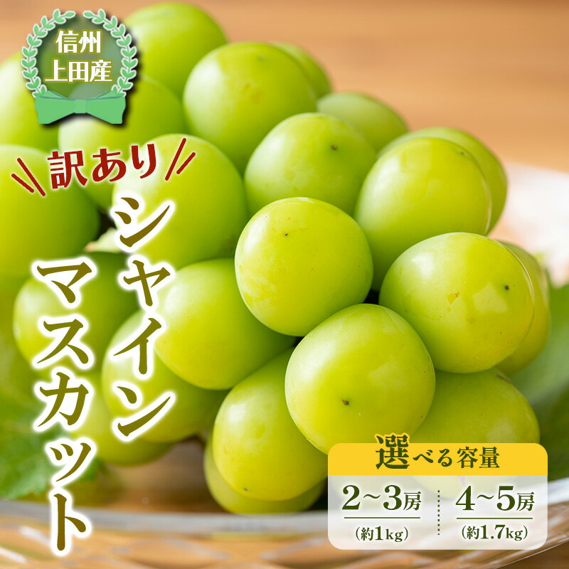 【ふるさと納税】【2026年産】 訳ありシャインマスカット1kg 1.7kg ぶどう 葡萄 ブドウ マスカット 果物 くだもの フルーツ デザート 旬の果物 旬のフルーツ 長野　お届け：2026年9月中旬～10月下旬