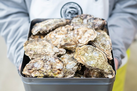 石川県七尾産 能登かき 殻付き 一斗缶（約80個） ※2026年12月～発送