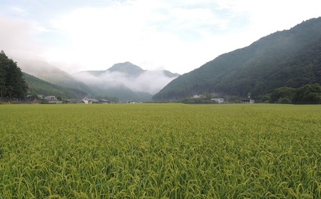 【12月発送】令和7年産　三重県大紀町産コシヒカリ精米5kg ／ 精米 したてを 直送 ！ 新鮮 なお米を食卓へ San Farm Taiki コシヒカリ 三重県 大紀町