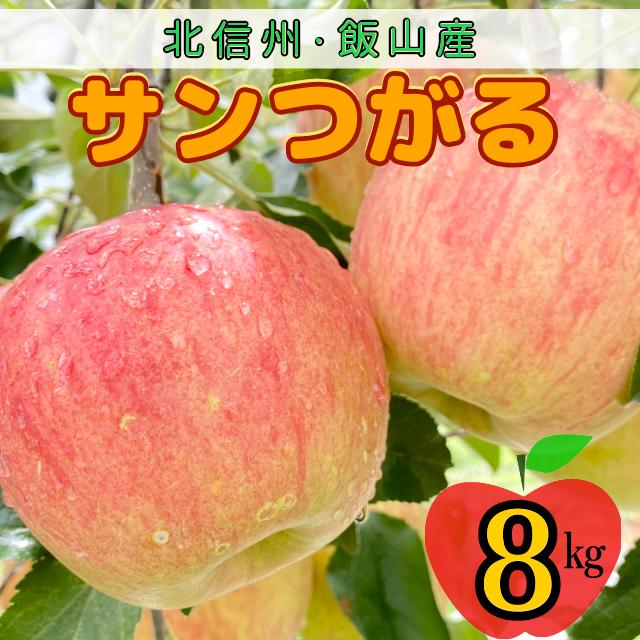 【先行予約】サンつがる【約8kg(24から36玉)】(7-A19-3)