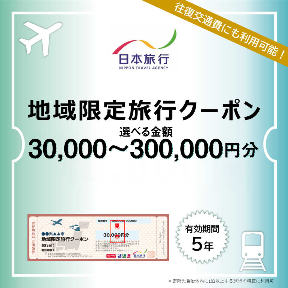 【ふるさと納税】沖縄県沖縄市 日本旅行 地域限定旅行クーポン (1万5千円～30万円分) 旅行券 チケット 宿泊券 プレゼント ギフト 沖縄市 / 株式会社日本旅行