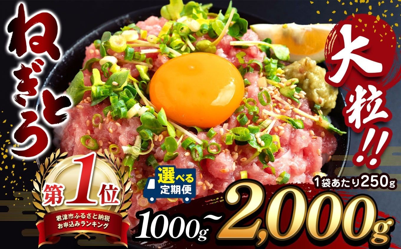 【選べる容量】 大人気！ ねぎとろ 1000g～2000g（ 250g 小分け）清幸丸水産