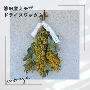 磐田産ミモザのドライスワッグ【1614754】