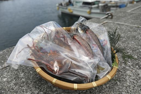 【数量限定】【匠の漁】伊勢えび・三崎アジ一夜干し特選セット（各2枚） 【 あじ アジ 一夜干し 伊勢海老 伊勢えび 】 IKTJ007