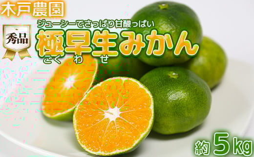 
            極早生みかん！木戸農園のおおいた早生 約5kg（秀品） ミカン みかん 柑橘 5kg 先行予約 9月 フルーツ ＜113-012_5＞
          