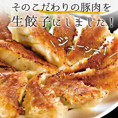 ふるさと納税 いちき串木野市 鹿児島黒豚生餃子 合計240個(12個×20P)タレ付き!国産野菜使用!【60日以内配送】 |  | 02