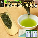 【ふるさと納税】≪特選茶≫ 煎茶・白折味くらべセット - 茶葉 上煎茶(100g×3本) / 上白折(100g×2本) お茶 煎茶 ホットでも冷茶でも 日本茶 せんちゃ しらおれ 送料無料 MJ-4804【宮崎県都城市は2年連続ふるさと納税日本一！】