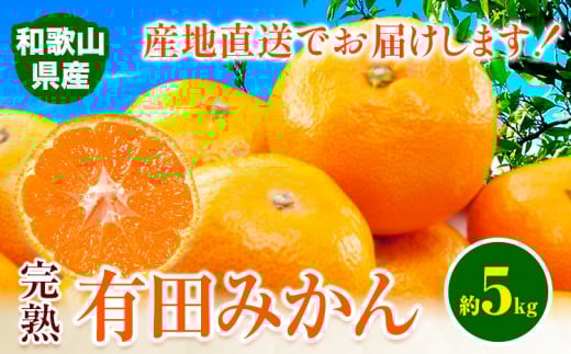 みかん 完熟有田みかん 約 5kg 有田マルシェ《2025年11月中旬-1月上旬頃出荷予定》 和歌山県 日高町 みかん 有田 みかん 柑橘 フルーツ 完熟 ミカン 蜜柑 送料無料