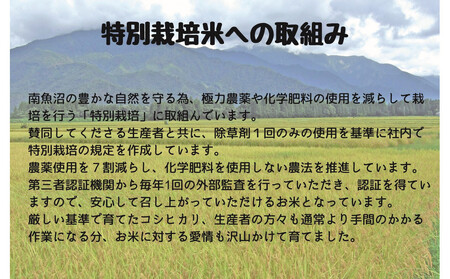 【令和7年産新米予約】南魚沼産コシヒカリ特別栽培米 白米 2kg×2袋 計4kg【2025年10月上旬より順次発送予定】