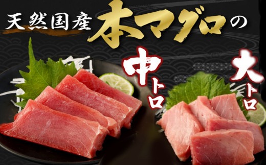 厳選 天然本マグロ 中トロ・大トロ 1kｇ以上 国産 魚 高知県 刺身 刺し身 漬け丼 海鮮丼 おかず 魚介類 海鮮 海産物 まぐろ 本まぐろ 鮪 ブロック 惣菜 冷凍