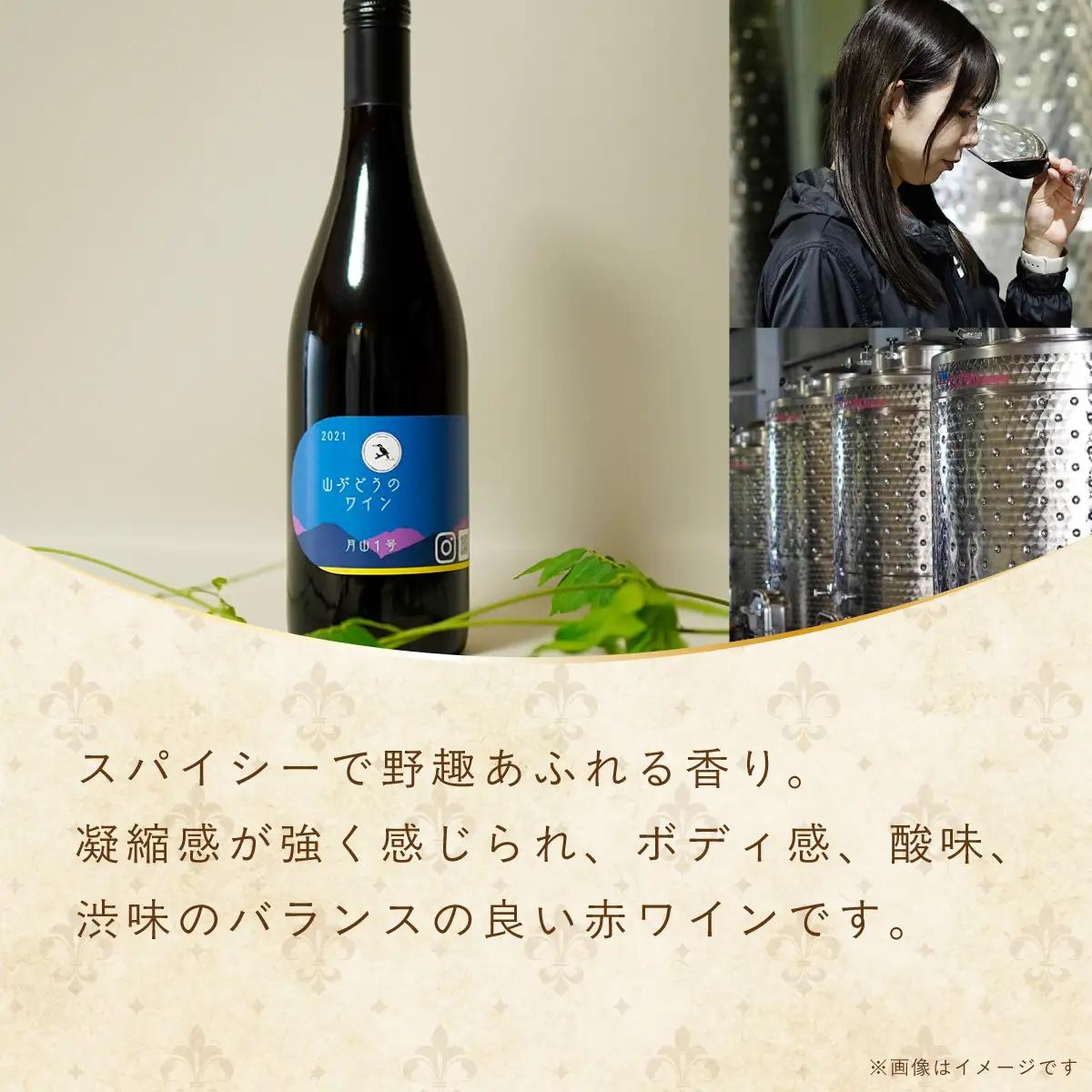 多古ワイン2021・山ぶどう月山1号【赤】【日本ワイン】750ml・1本_酒・アルコール 赤ワイン ワイン _【配送不可地域：離島・沖縄県】 TAKM002