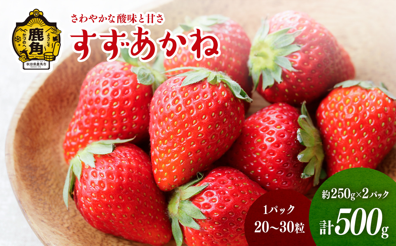 
            《 先行予約 》鹿角産いちご「すずあかね」約250g×2パック（1パック:20～30粒入り）【神田農園】●2025年7月上旬発送開始 県産いちご 国産いちご いちご 苺 イチゴ 新鮮 旬 採れたて 贈り物 手作り ケーキ 誕生日 バースデー グルメ デザート 故郷 秋田 あきた 鹿角市 鹿角 農家直送 産地直送
          