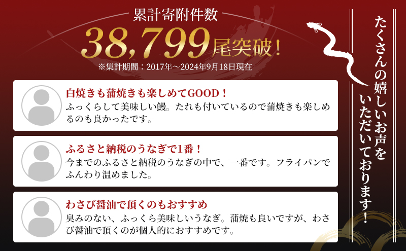 国産うなぎ 浜名湖産 白焼き 2尾 (110g×2本入) 山椒 たれ セット 詰め合わせ 海老仙 国産ウナギ 国産 ウナギ 鰻 白焼き 白焼きうなぎ 小分け おすすめ 贈答用 土用の丑の日 静岡 静岡