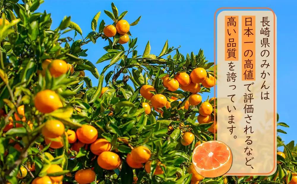 【糖度12度以上！】長崎県産 みかん 味ホープ 約10kg＜期間限定／先行予約＞【2026年11月中旬以降順次発送】｜みかん 柑橘