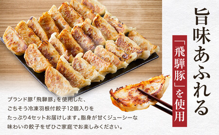 飛騨豚餃子12個入り×4セット（簡易包装）| おいしい焼き方説明書付き 自宅使いに最適 肉 食品 人気 便利 飛騨高山 餃子工房らん NL005