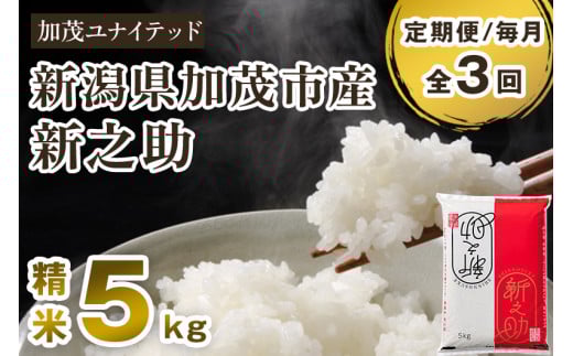 【令和7年産新米先行予約】【定期便3ヶ月毎月お届け】新潟県産 新之助 精米5kg 《5kg×1袋》《10月上旬から順次発送》 新潟 ブランド米 加茂市 加茂ユナイテッド