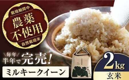 【先行予約/令和7年産新米】自然栽培米ミルキークイーン　2kg玄米[AQCP001] 玄米