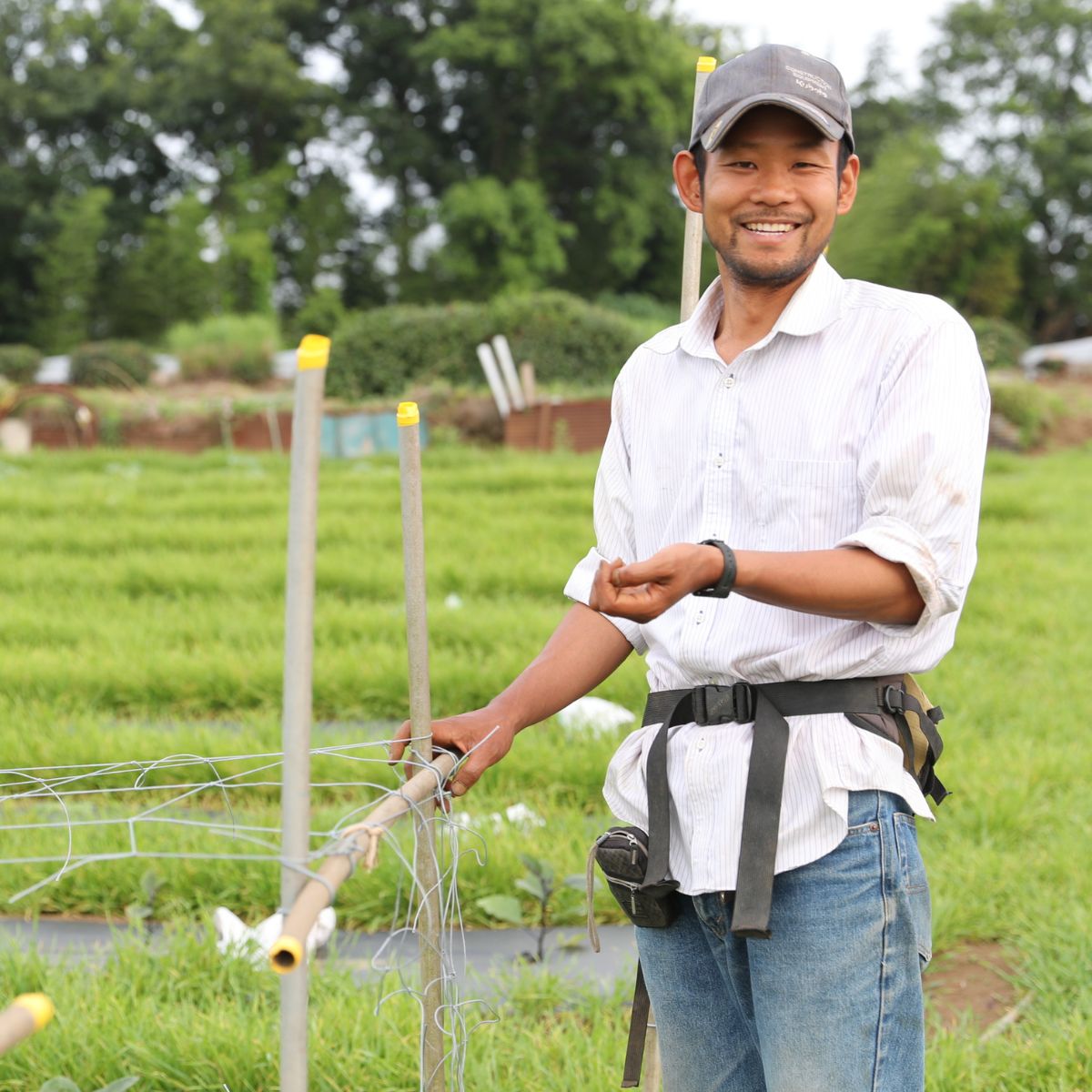 にんじんジュース りんごミックス 1L×2本 | 埼玉県 所沢市 ジュース 人参 人参ジュース 野菜ジュース リンゴ フルーツ ミックスジュース 果肉 トロトロ 濃厚 おいしい おすすめ プレゼント 