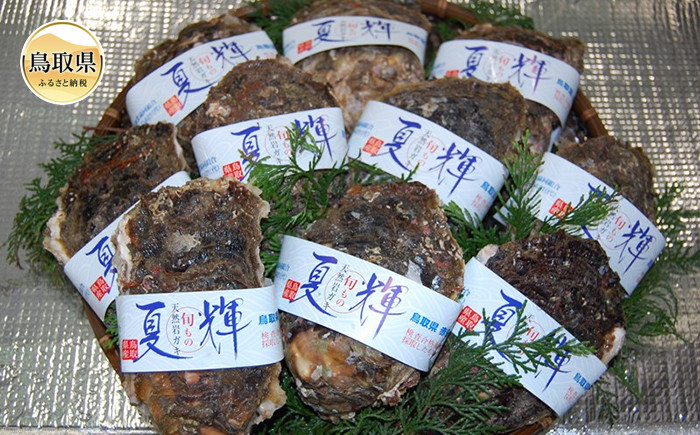 
                  鳥取県産　天然岩がき（夏輝）【期間限定】_T2600101
                