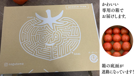 ぜいたくトマト！約2kg ( 9個～12個 ) トマト 大玉トマト 新鮮 美味しい 野菜