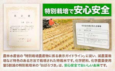 [1.2-363]【令和7年産先行受付】ファームふたば特別栽培米「おぼろづき」5kg《10月中旬～（新米収穫出来次第、出荷）》 産地直送 お取り寄せ 国産 北海道産 当別町産 お米 精米 白米 弁当 