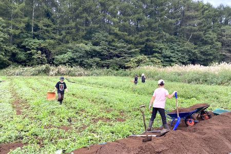 【2026年夏の予約受付開始！】TAKA農園『恵味（めぐみ）スター』2Lサイズ（1本450ｇ相当）×10本セット、約4.5kg｜信濃町名産とうもろこし／スイートコーンの人気品種を事前予約限定で受付中！