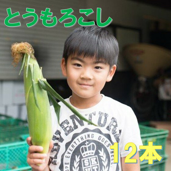 【ふるさと納税】☆ 予約受付 ☆2025年度【 メロン と同等の 糖度 】高橋さんのとうもろこし 12本 セット とうもろこし とうきみ もろこし 岩手 北上 新鮮 糖度 14度 〜 予約 受付中 スイートコーン ヤングコーン 高橋 光