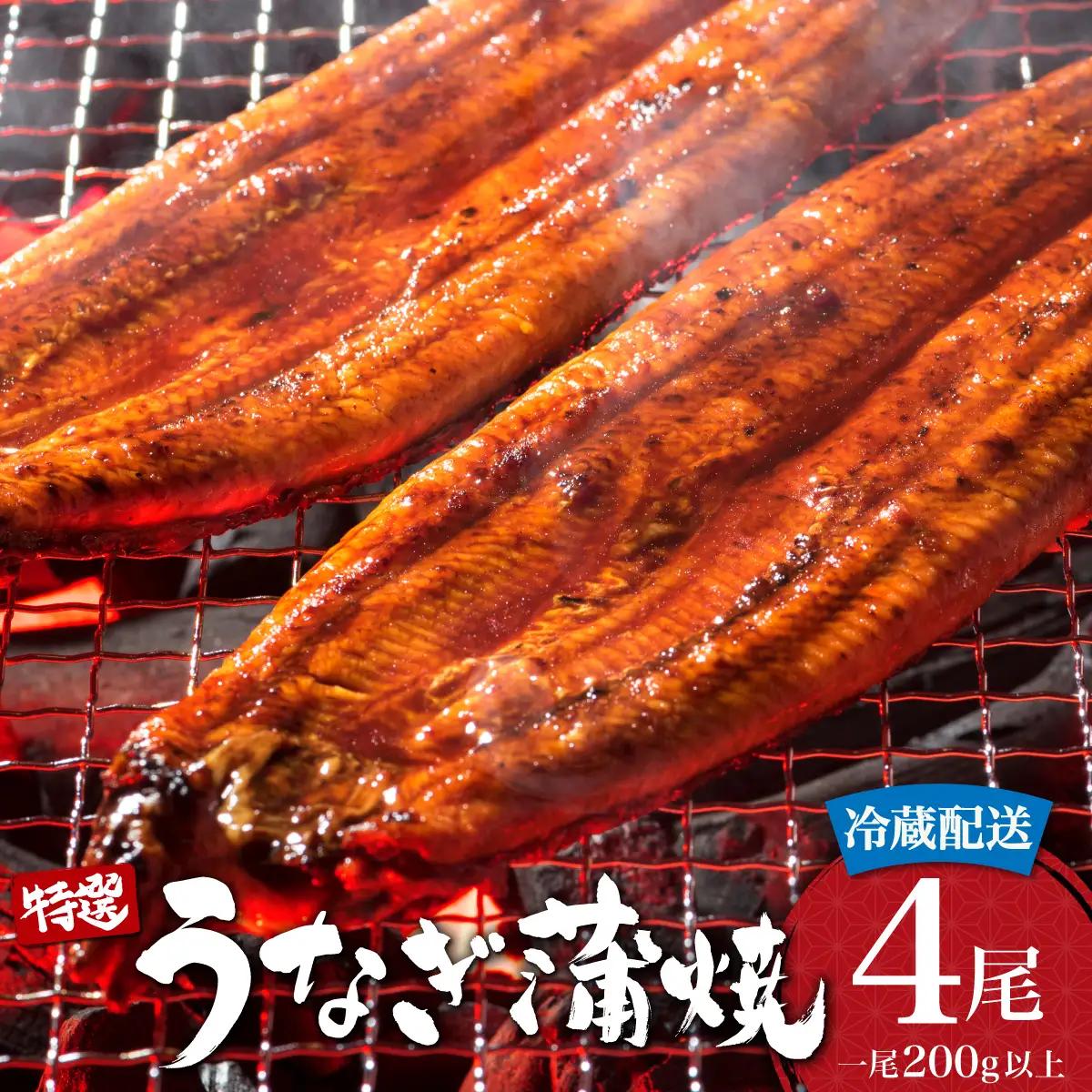 うなぎ蒲焼き 800g (200g×4尾) 