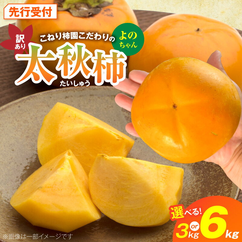 【ふるさと納税】【先行受付】 訳あり サイズ不揃い 太秋柿 薄い黄緑色 四角形 条紋 高糖度 選べる 容量 3kg 6kg 柿 シャキシャキ みずみずしい 大玉 こねり柿園 甘柿 旬 よのちゃん太秋柿 フルーツ 果物 福岡県 上毛町 送料無料
