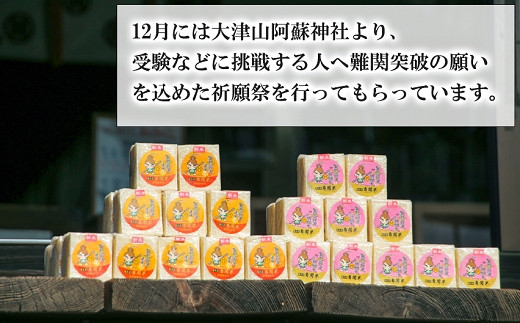【令和7年産】難関突破達成米 白米 300g×8個 《7-14日以内に出荷予定(土日祝除く)》キューブ 精米 熊本県 南関町産 単一原料米 ヒノヒカリ 産地直送 コメ お米 祈願米