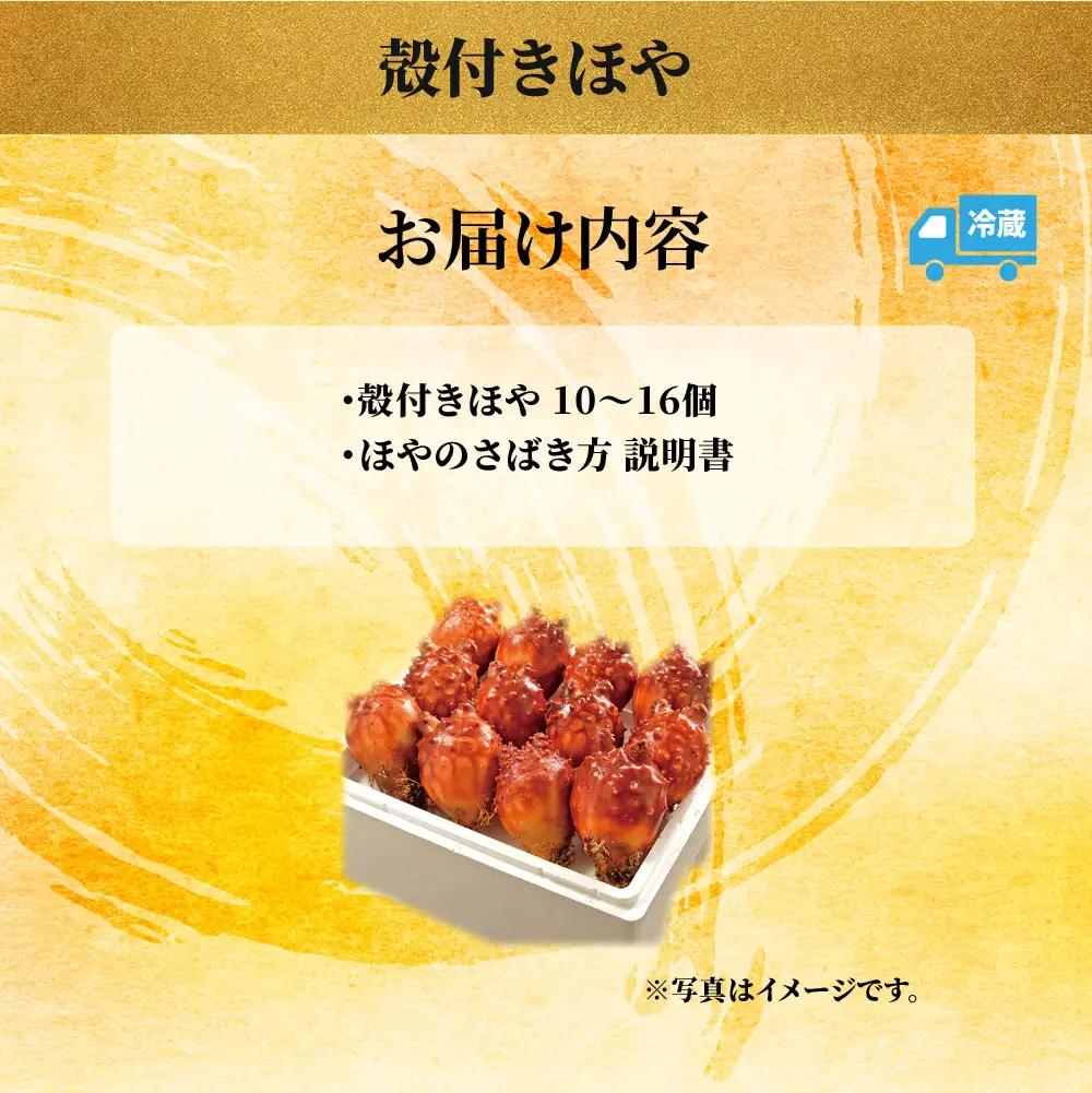 fn-39-019 殻付きほや 【5月中旬～7月末頃期間限定 お届け便】ヤマキイチ商店  珍味 三陸 刺身 魚介