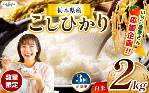 【栃木県共通返礼品】【先行予約】【定期3回】 訳あり 数量 限定 定期便 令和8年度 栃木県産 コシヒカリ 約 2kg | 数量限定 こしひかり 精米 白米 米 ごはん おいしい 密閉パック ふるさと納税 那珂川町 栃木県 送料無料