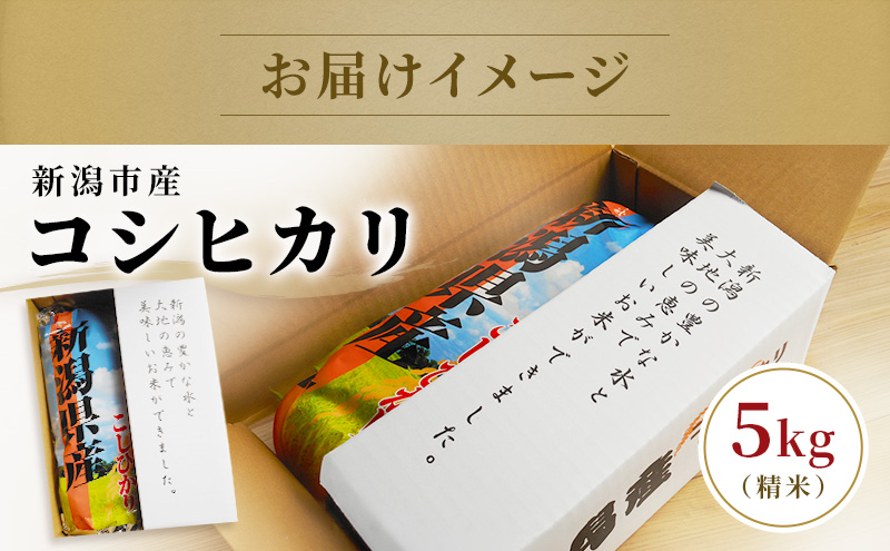 令和7年度米 新潟市産 越後金四郎コシヒカリ（特別栽培米）5kg