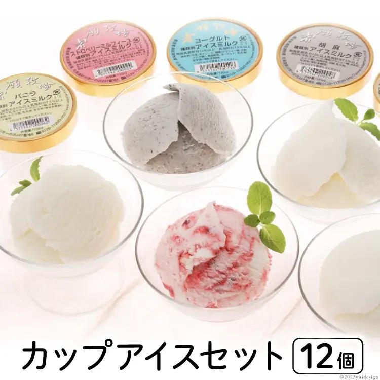 カップアイス 12個セット