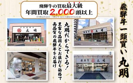 飛騨牛 A5 サーロインステーキ 200g 5枚 ステーキ 黒毛和牛 肉 騨高山 丸明 サーロイン ブランド牛 和牛 TR3738 【飛騨牛 和牛ブランド 飛騨牛 黒毛和牛 飛騨牛 岐阜 飛騨牛】 