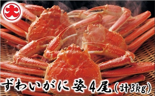 D-01049【年内配送可】 ずわいがに姿4尾(計3kg)