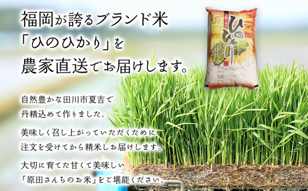 米  「原田さんちのお米」ヒノヒカリ 10kg  米 