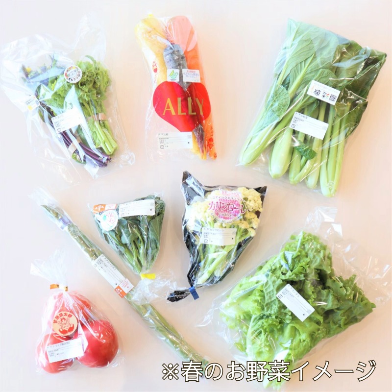 旬のエシカル野菜7種セット 野菜 おまかせ 新鮮 採れたて 産地直送 やさい とうもろこし トマト 減農薬 きのこ オクラ 玉ねぎ 美味しい 小松島市