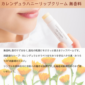 北海道アカシアはちみつ200gと洞爺湖ハーブリップ1本(無香料)のセット 【 ふるさと納税 人気 おすすめ ランキング 加工食品 はちみつ 美容商品 化粧品 バーム リップクリーム カレンデュラ ハー