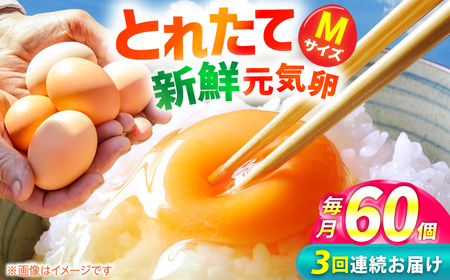 【3回定期便】お茶と海藻で健康育ち 元気卵 180個（60個×3回） / 卵たまご定期便 タマゴ 卵たまご定期便 玉子 卵たまご定期便 / 亀山市 / 藪本養鶏園 [AMBH006]