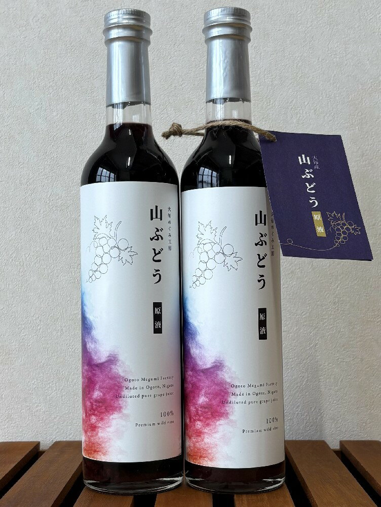 【ふるさと納税】 【数量限定】山ぶどうジュース500ml×2本セット　1093005