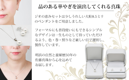 保証書付＜明浜産真珠ジオの恵みセット(ペンダント・ピアス)＞ 8.5～9.0mm 純国産 高品質 あこや パール アクセサリー フォーマル ファッション レディース 女性 誕生日 記念日 成人祝い 佐