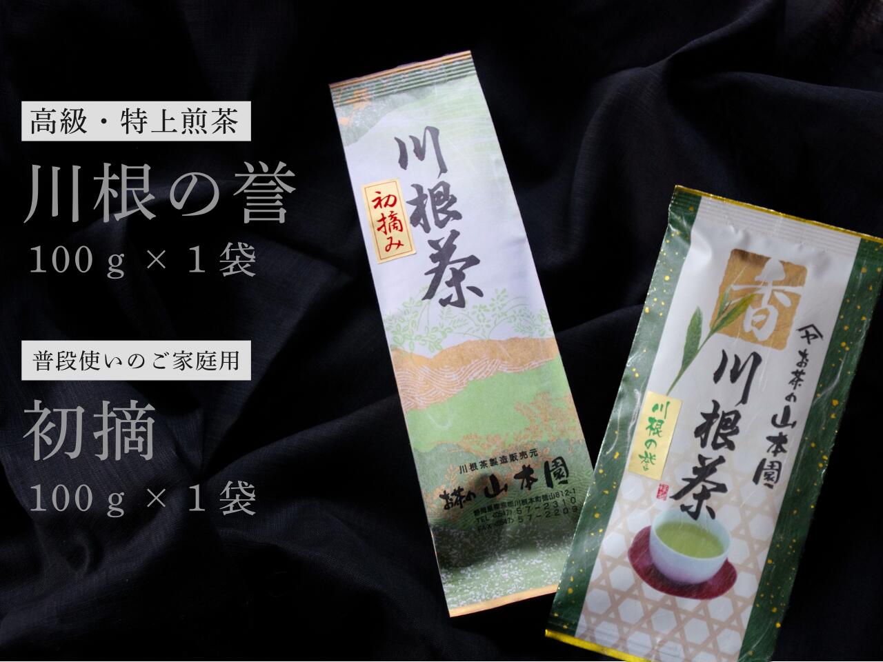 【ふるさと納税】厳選川根茶 2種おすすめセット | ふるさと納税 ふるさと 静岡県 川根本町 静岡茶 川根茶 新茶 川根の誉 初摘 送料無料