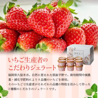 いちごジェラート詰め合わせ(12個入り)_いちご ジェラート 3種類 × 各 4個 100ml 計 12個 詰め合わせ プレミアム いちごミルク あまおう ヨーグルト ホワイトショコラ 紅ほっぺ 煌め