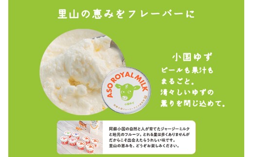 【ASO ROYAL MILK】阿蘇小国ジャージーアイス 4種詰め合わせ 100ml 16個 王様ミルク 小国ゆず 小国ブルーベリーヨーグルト 小国ラズベリー 各2個 小国ジャージー牛乳 ジャージーミ