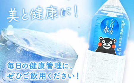 【6ヶ月定期便】シリカ天然水 2L×10本 計60本 株式会社Foody's《申込月の翌月から出荷開始》熊本県 菊池市 シリカ水 飲料水 ミネラルウォーター 水 軟水 鉱水 ペットボトル 定期便
