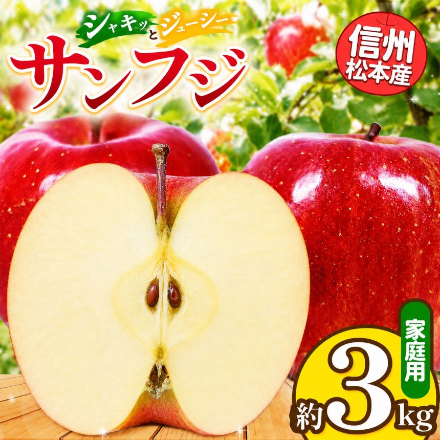 【ふるさと納税】【先行受付】信州松本産　サンふじ　約3kg 家庭用（訳あり品） │ 林檎 りんご リンゴ サンふじ 果汁 果物 貴重 くだもの フルーツ 自然 旬 ご褒美 長野県 信州 松本 ふるさと納税