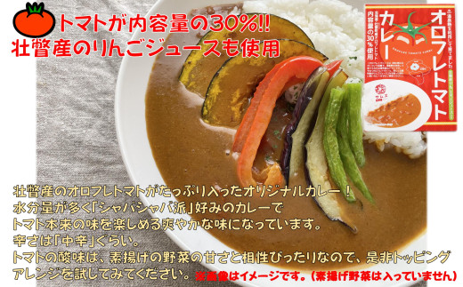 ≪ご当地レトルトカレー≫3種セット　計5箱 SBTA044